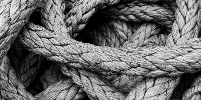 Eu tinha certeza que era uma cobra.