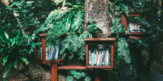A frondosa árvore do conhecimento